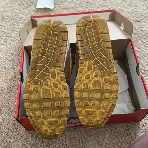 Nike Air Max 1 Ugly Duckling - Picture 3 of 5